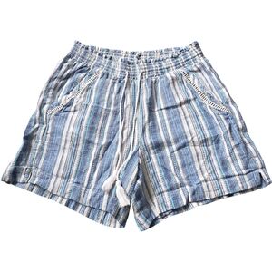 Briggs New York Blue and White Striped Women's Shorts